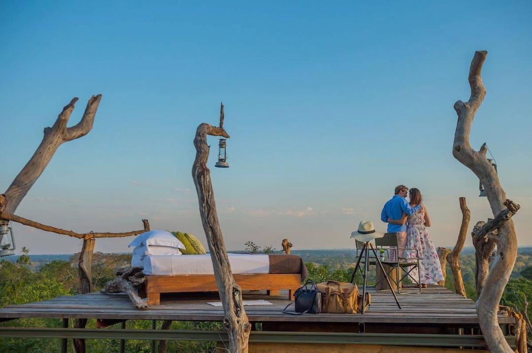 Safari Image