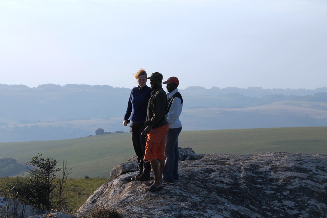 Safari Experience