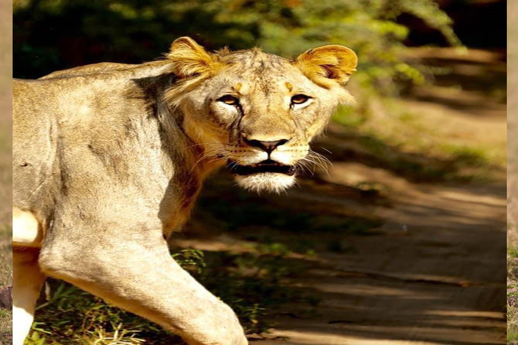 Northern Malawi