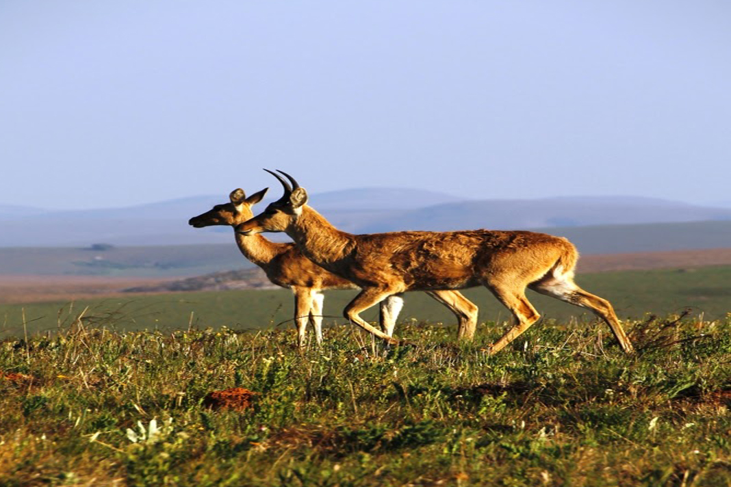 Tour Image