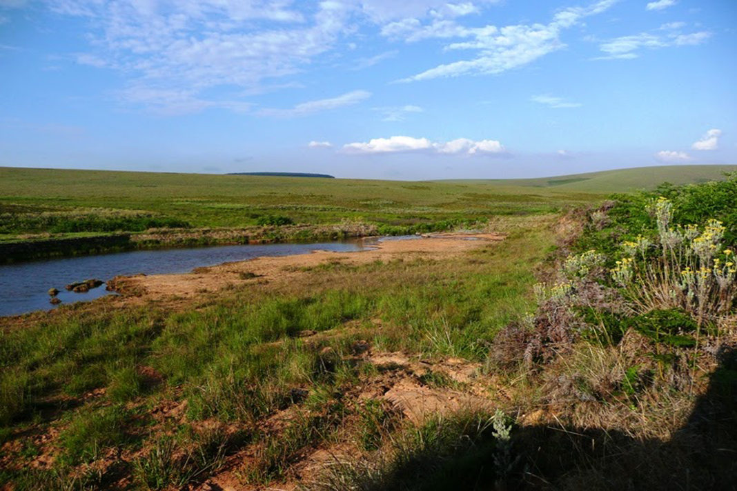 Tour Image