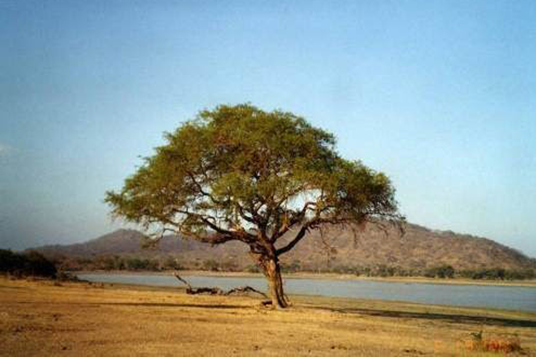Tour Image